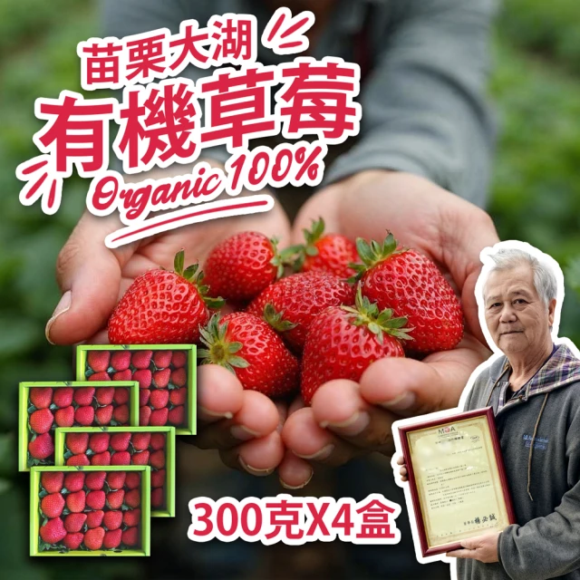 仙菓園 台灣苗栗大湖 草莓一號果 每盒約1.5kg±10% 