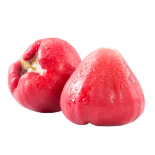 黑珍珠蓮霧禮盒 優選中果 1盒(單盒淨重4.5斤 約31-35粒)