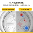 【Whirlpool 惠而浦】13公斤◆DD直驅變頻直立洗衣機(WV13DG)