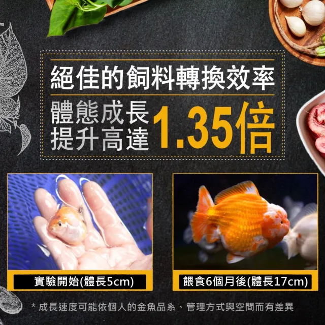 【Ultra Fresh 鮮蝦食譜】APEX金魚-全季節天然營養成長脆片120ml(金魚飼料 蘭壽飼料 獅頭飼料 魚飼料)
