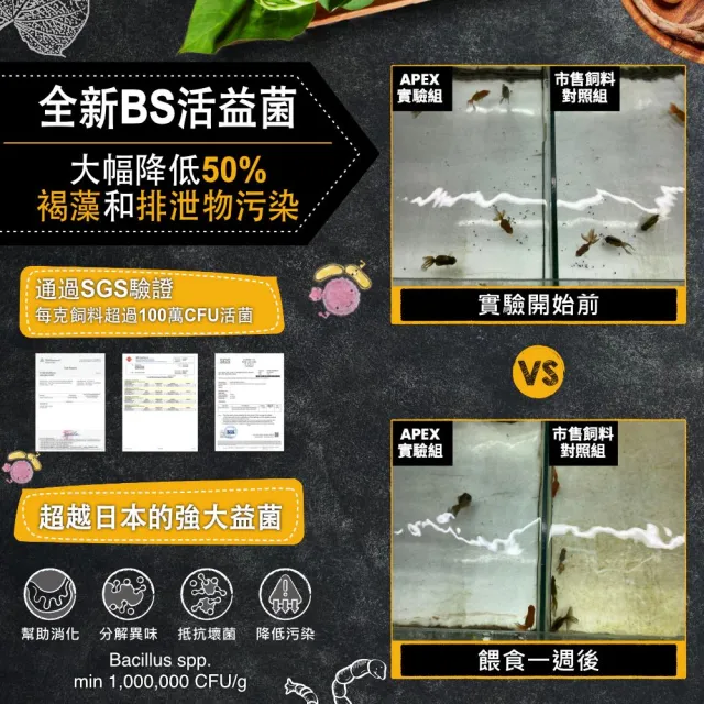 【Ultra Fresh 鮮蝦食譜】APEX金魚-全季節濃郁色揚成長脆片330ml(金魚飼料 蘭壽飼料 獅頭 色揚 魚飼料)