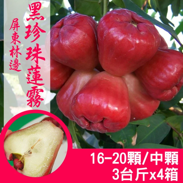 產地直送 屏東林邊黑珍珠蓮霧4台斤X2箱/精裝版(20-26