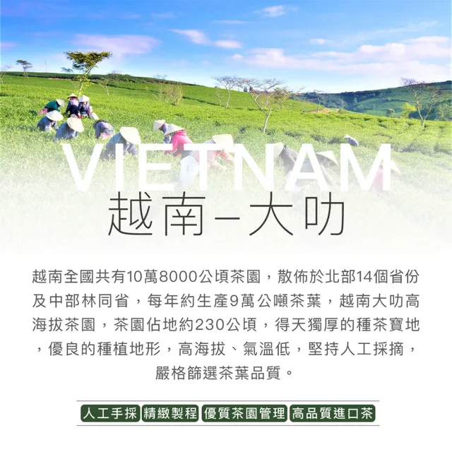 【茶好玩】南人系列口糧茶組 猛南烏龍+型南烏龍150gX4包(共1斤;優惠組合;輕發酵;無焙火;全手採)