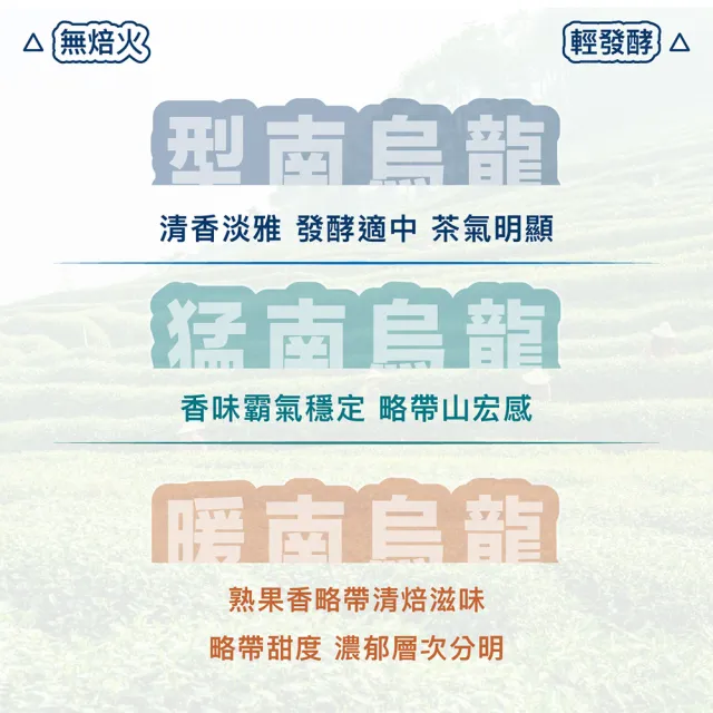 【茶好玩】南人系列包套組 南人葉總匯150gX3包(0.75斤;優惠組合;輕發酵;全手採)