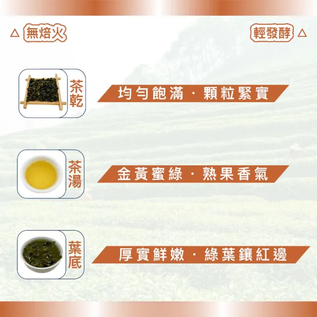 【茶好玩】暖南烏龍尊爵組 越南高山手採烏龍茶葉150gX12包(共3斤;回甘熟果香;輕發酵;中焙火;全手採)