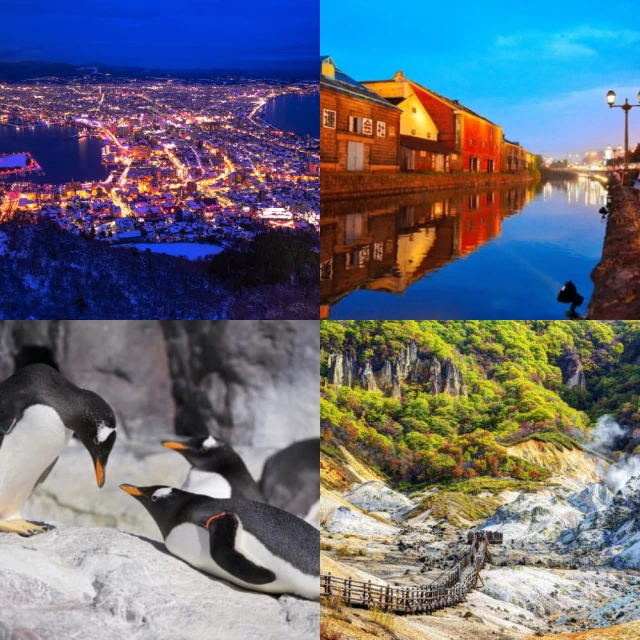 每月一物北海道旅遊 全程無自理餐.企鵝遊行.小樽運河.函館夜