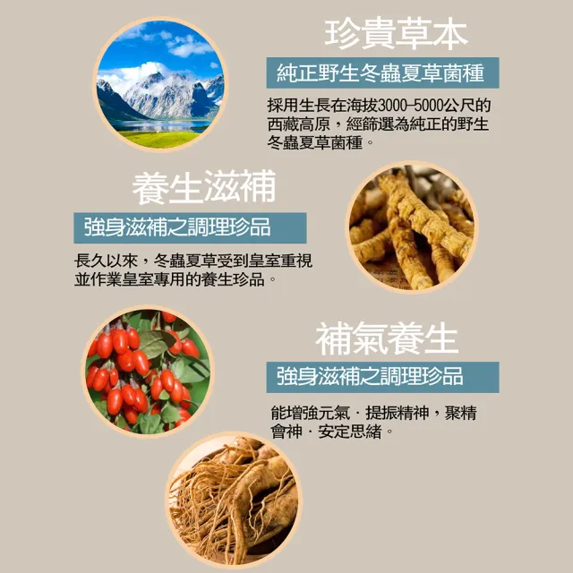 即期華世活力甦素基精 冬蟲夏草菌絲體(3盒組全素食效期2026.12.10)