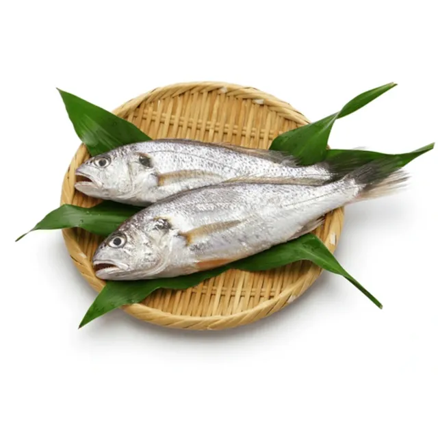 嚴選鮮凍野生白口魚