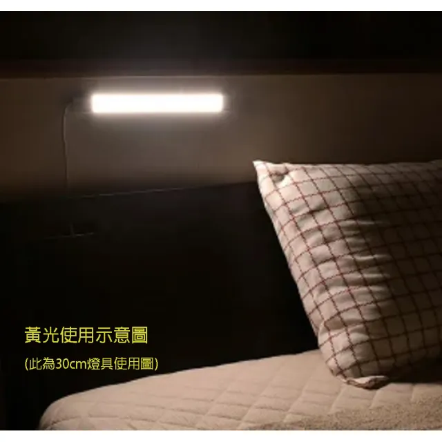 LED超薄層板燈/黃光(60CM/主機)