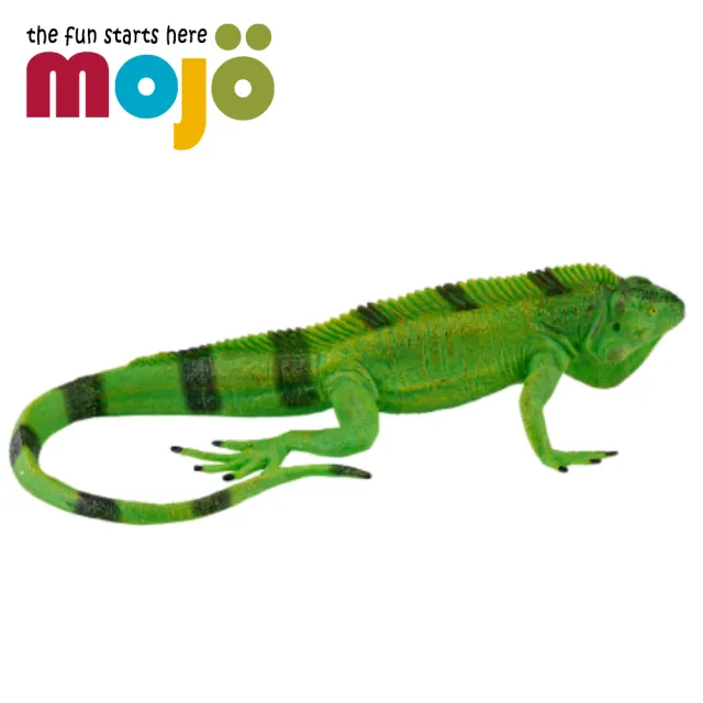 【Mojo Fun】動物模型-綠鬣蜥