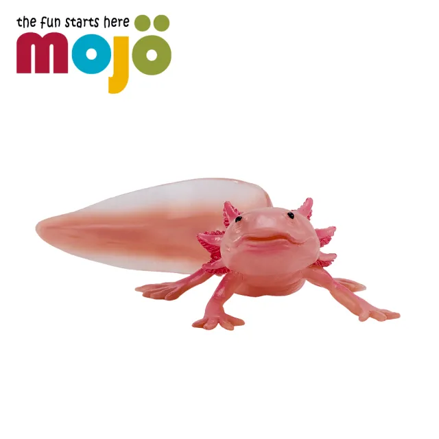 【Mojo Fun】動物模型-墨西哥鈍口螈