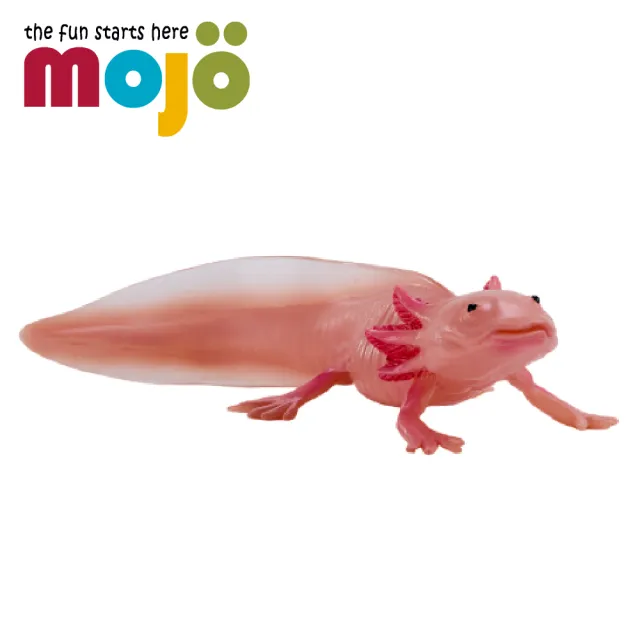 【Mojo Fun】動物模型-墨西哥鈍口螈(公仔/動物/模型/玩具)