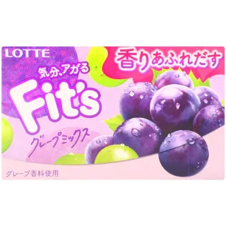 【Lotte 樂天】葡萄風味口香糖24gX2入/組