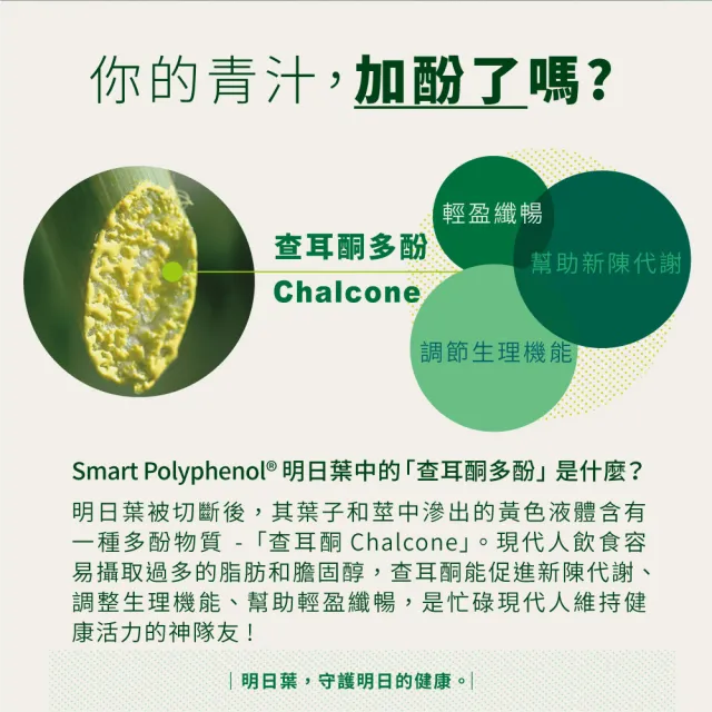 即期品【SHIONOGI】野義明日葉青汁30包x３盒(查耳酮多酚 代謝順暢)