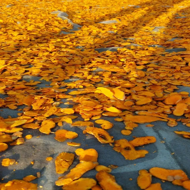 {福伯薑黃}紅薑黃錠添加黑胡椒(小農自產自銷)