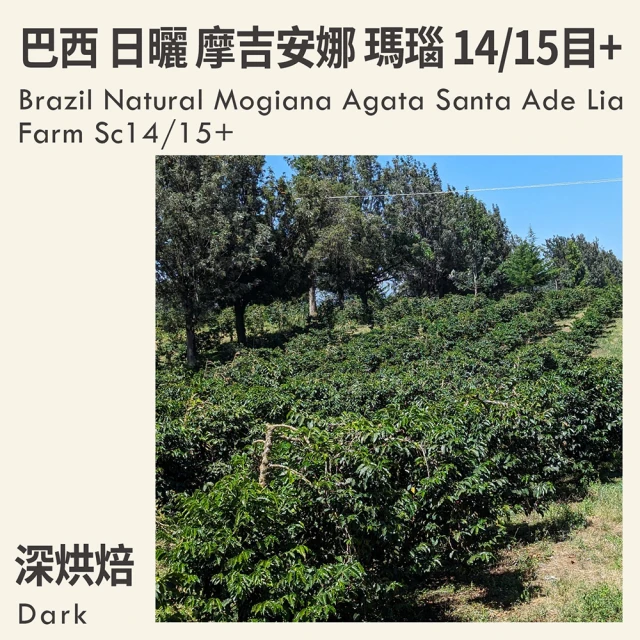 RAMENZONI雷曼佐尼 義大利BRAZIL烘製咖啡豆50