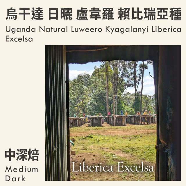 RAMENZONI雷曼佐尼 義大利BRAZIL烘製咖啡豆50