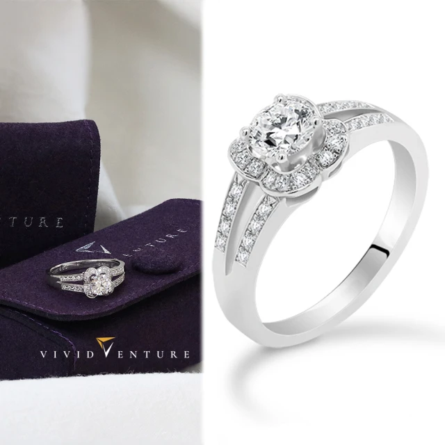 Vividventure 亞帝芬奇 GIA 50分 FSI2