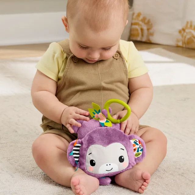 【Fisher price 費雪】歌唱感官紫色猴子(寶寶安撫/嬰兒玩具/彌月禮/新生兒)