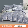 【綠的寢飾】天絲™品牌萊賽爾纖維兩用被床包組(單/雙/加/特大 多款任選)