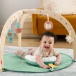 【Fisher price 費雪】木製叢林寶寶健身器(寶寶安撫/嬰兒玩具/彌月禮/新生兒)