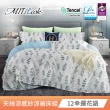 【MIT iLook】天柔絲X涼感紗簡約AB四季涼被床包組(單/雙/加大-多款任選/涼夏被)