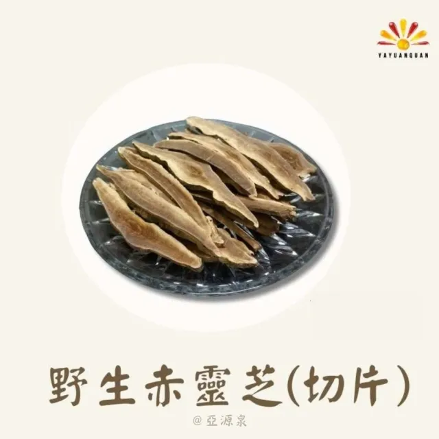 亞柏林 野生赤靈芝 切片 500g/包(赤靈芝)