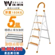 【WinWin】五階梯 防滑加強 耐重150KG(五階梯/摺疊梯/防滑梯/梯子/家用梯/室內梯/人字梯/A字梯/鋁梯)
