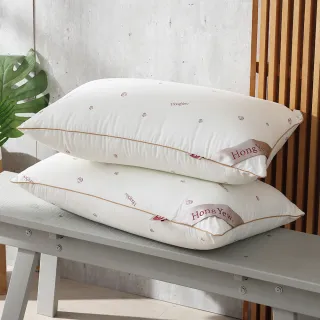 【HongYew 鴻宇】晨曦天絲枕(2入)