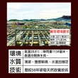【鮮綠生活】熟凍鮑魚清肉 共5包(淨重: 20g±10%/顆 10顆裝/包; 中秋烤肉 燒烤)