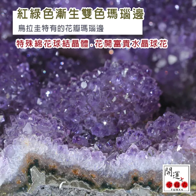 【開運方程式】紫晶洞5.79kg烏拉圭大開口笑棉花晶球錢袋子聚寶盆(紫水晶洞AGU523風水擺設開運)