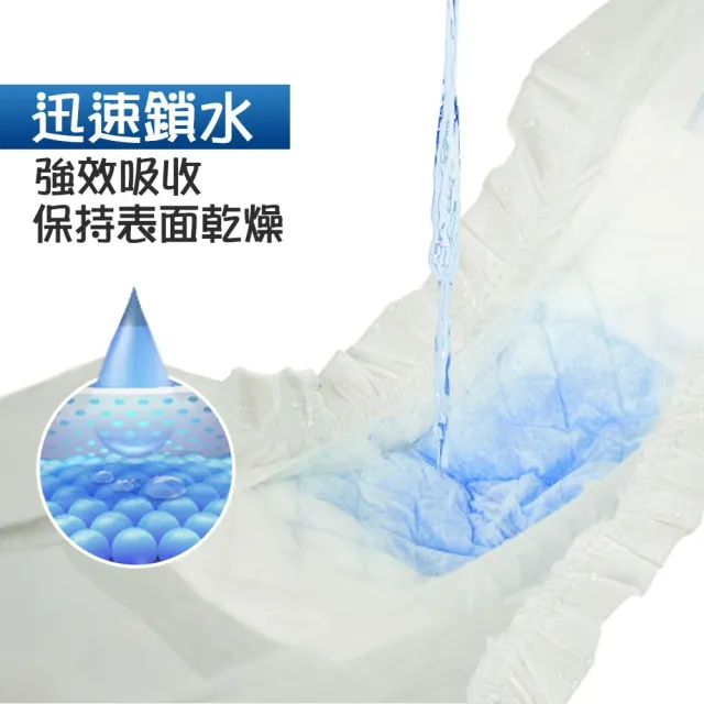 【美國BV Pets】寵物禮貌帶 公犬用 2包組(公狗禮貌帶/寵物尿布/狗尿布/狗尿褲)
