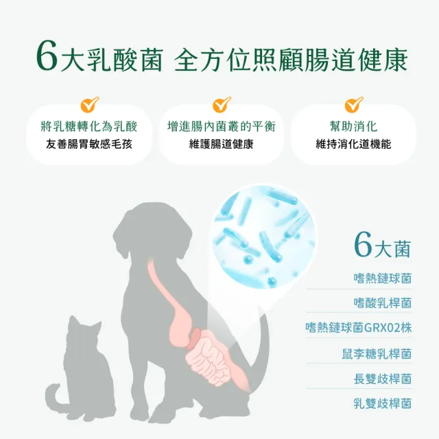 【汪喵星球】汪喵星球ｘ馬修嚴選 機能優格丁22g(犬貓零食/貓零食/狗零食)
