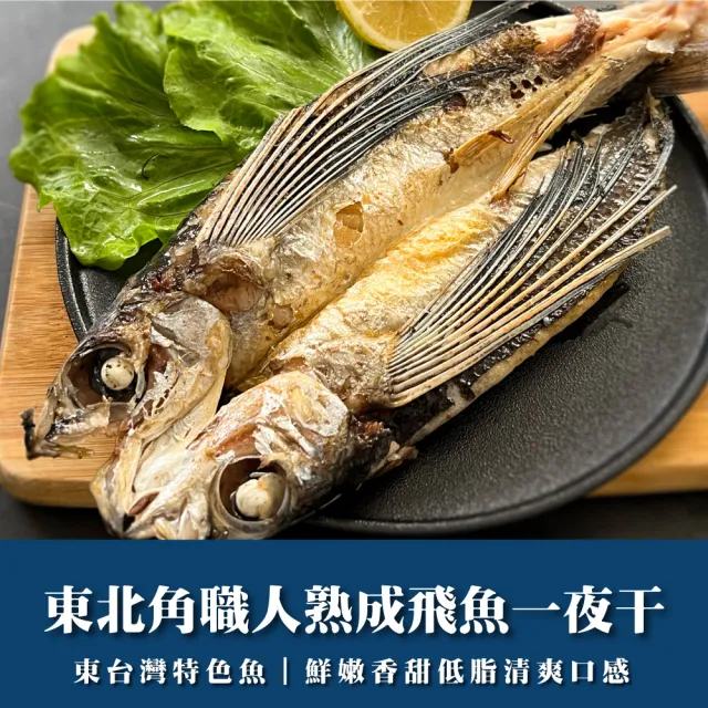 季節限定蘭嶼美食野生飛魚一夜干