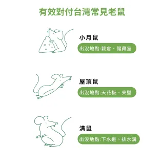 【福來朗】老鼠毒餌10gX10入(殺鼠/滅鼠/除鼠/老鼠藥)