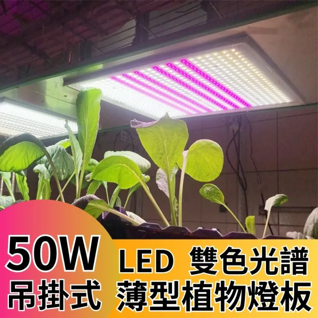 【JIUNPEY 君沛】LED50W薄型植物燈板 50瓦吊掛式 雙色光譜設計有助於提高栽培效率和作物質量(植物燈)