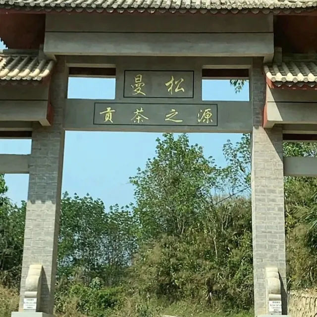 【盛嘉源】私人珍藏 曼松 2021年(普洱茶 生茶357g)