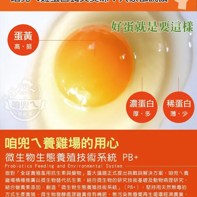 【咱兜ㄟ養雞場】草本DHA機能蛋/紅殼/100入團購優惠箱(機能蛋專家/平飼/永續農業)
