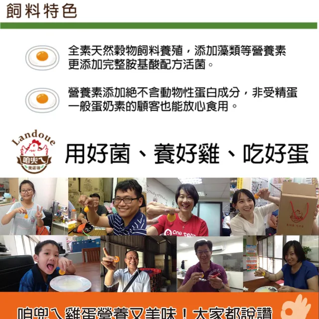 【咱兜ㄟ養雞場】草本DHA機能蛋/紅殼/40入宅配禮盒組(機能蛋專家/平飼/永續農業)