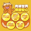 【PAW PAW LAND 肉球世界】鮮味大絲_肉絲主食罐80gx3入(貓咪罐頭、肉絲罐頭)