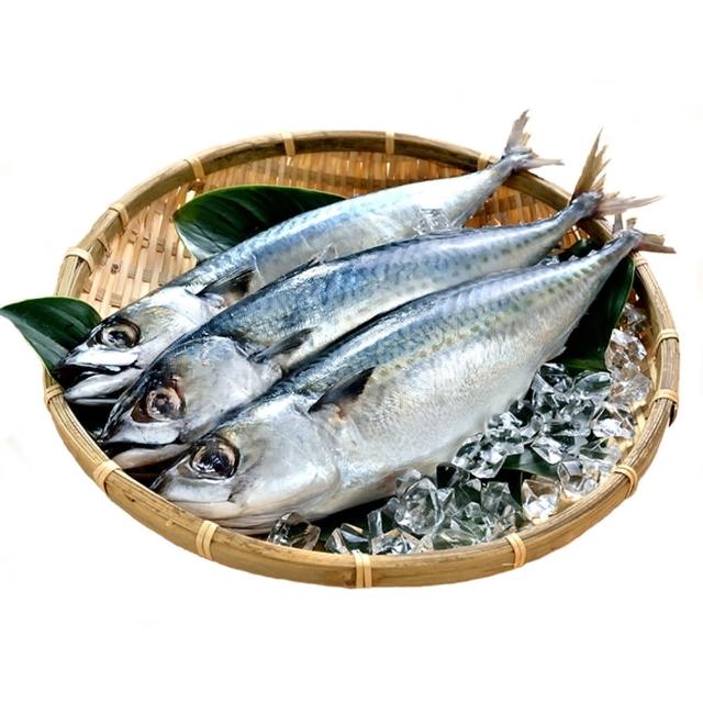 【享吃海鮮】超大尾南方澳薄鹽鯖魚12隻組 共6包(2隻裝/500g±10%/隻)