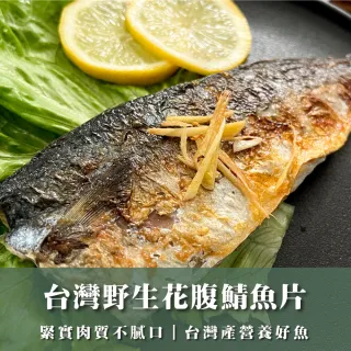 台灣野生花腹鯖魚片