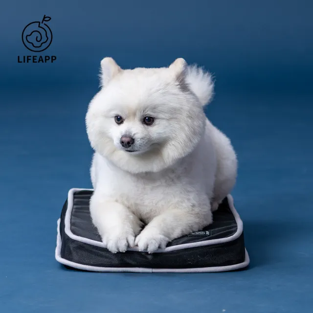 【LIFEAPP 徠芙寶】經典透芯涼睡墊/L(寵物緩壓睡墊、大型犬適用)