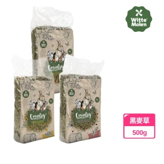 【Whitte Molen 荷蘭偉特】鄉村Country 黑麥牧草 500g(黑麥草、牧草、主食草、果園草、提摩西)