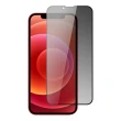 【日本AGC】iPhone 16/15/14/13/12/11/7/6/X/Xs/Xr/s/mini/Pro/Plus/Pro Max/e 保護貼全覆蓋黑框防窺鋼化膜
