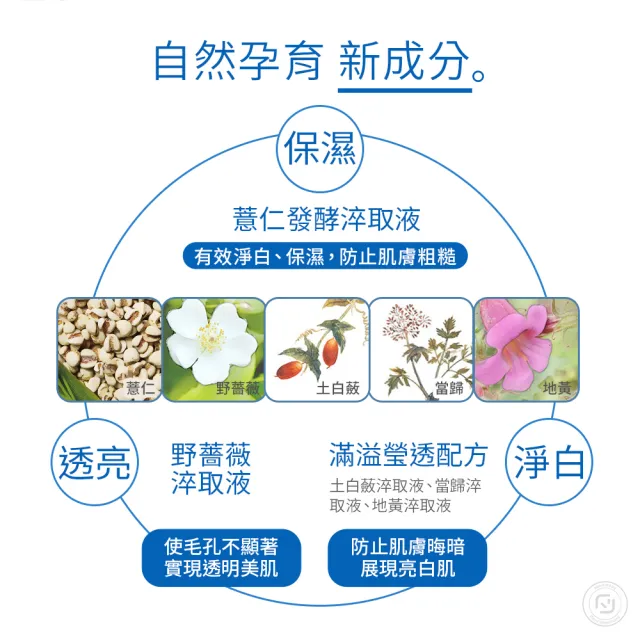 【KOSE 高絲】雪肌精CC絲絨雪粉餅-粉蕊 8g(3色可選)