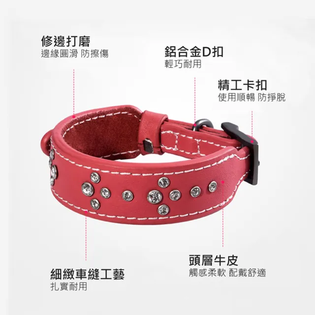 【DOGNESS多尼斯】真皮系列鑽石項圈_L號(狗項圈 狗狗項圈 真皮項圈)