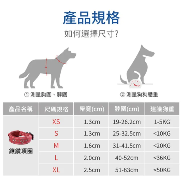 【DOGNESS多尼斯】真皮系列鑽石項圈_L號(狗項圈 狗狗項圈 真皮項圈)