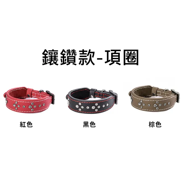 【DOGNESS多尼斯】真皮系列鑽石項圈_L號(狗項圈 狗狗項圈 真皮項圈)