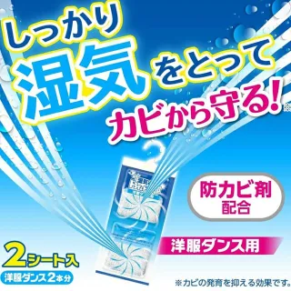 【台隆手創館】日本白元Dry & Dry Up吊掛式除濕包-衣櫥專用-2入裝(除濕劑)